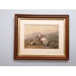 Caspar Holding Portrait of a dog. Watercolour. Signed and dated 875. 33cm in width by 22cm in