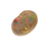A 5.1ct south Queensland white opal in case. 21mm long.