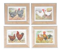 A set of twelve coloured prints of poultry