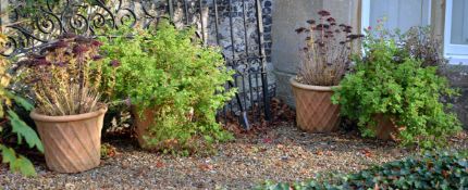 A set of four terracotta jardinieres