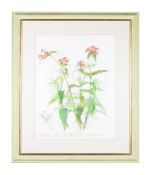 Graeme Alexander Three framed and glazed botanical studies Mixed media; and another