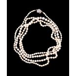 A single row pearl necklace