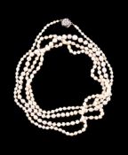 A single row pearl necklace