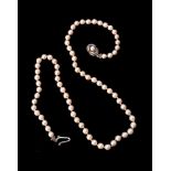 A cultured pearl necklace