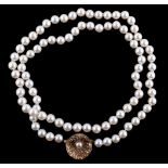 A single strand cultured pearl necklace