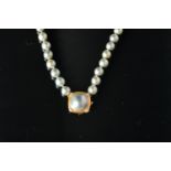 A single strand cultured pearl necklace