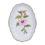 A Swansea porcelain shaped oval botanical dish painted with a Syrian Hibiscus specimen