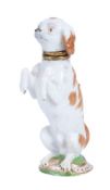 A Meissen scent bottle and stopper modelled a begging spaniel