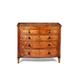 A Regency 'bird's eye Maple' bow-front chest of drawers, circa 1810