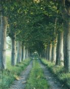 Marcus Lyon (British b.1965), The Tree Avenue, Provence 1996