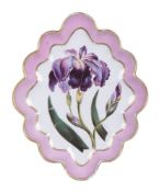 A Derby botanical shaped oval serving dish painted with an iris and attributed to William 'Quaker' P