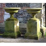 A pair of English carved limestone urns on plinths