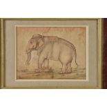 A Mughal style drawing of an Elephant