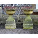 A pair of carved limestone urns on plinths