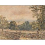 Attributed to David Cox Junior (British 1808-1885) , Wynnstay Park