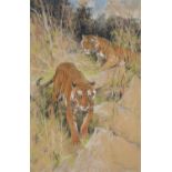 Arthur Wardle (British 1864-1949) , Tiger Tiger