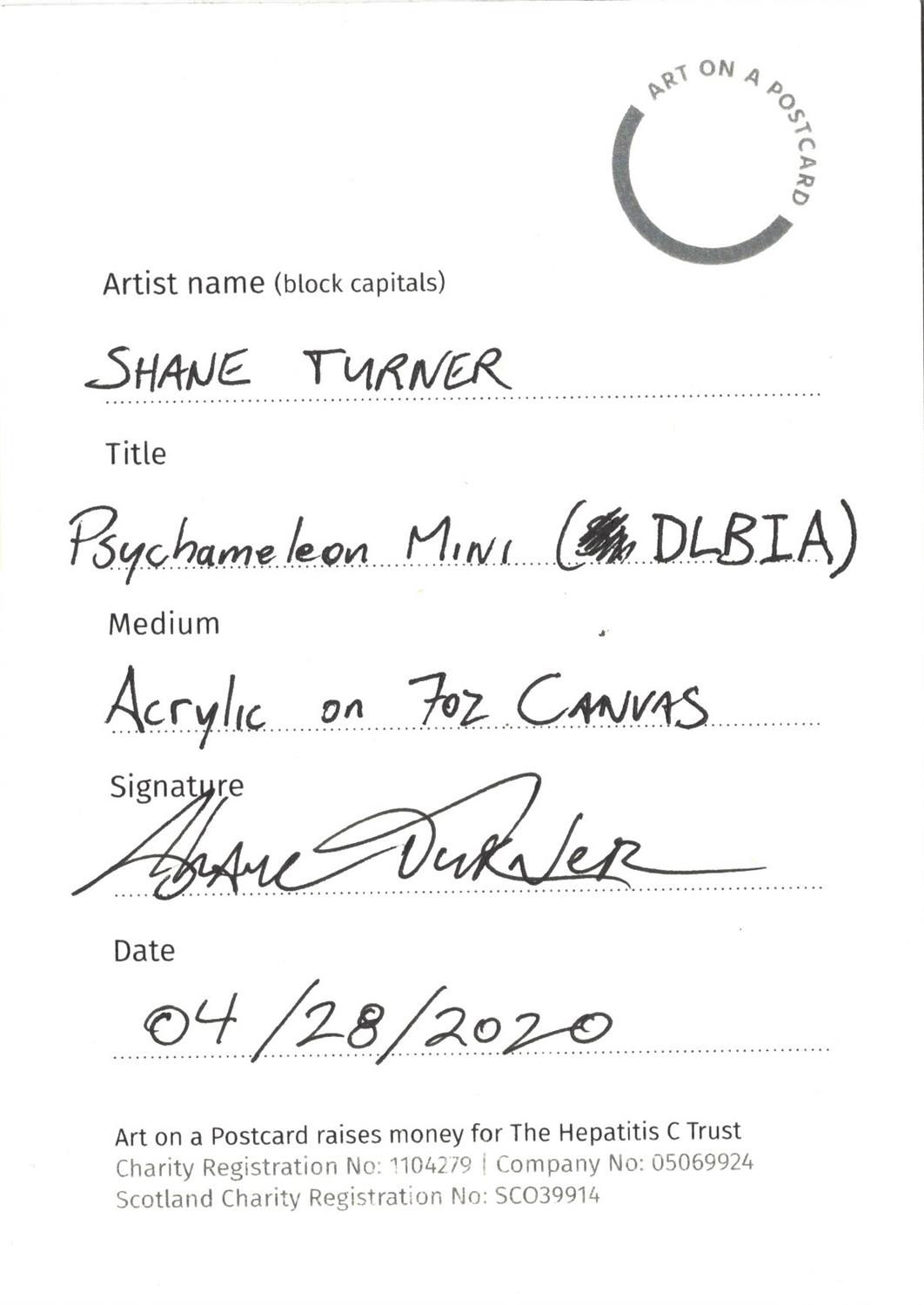 Shane Turner, Psychameleon Mini (BLBIA), 2020 - Image 3 of 3