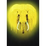 Carl Moore, Neon Elephant, 2020