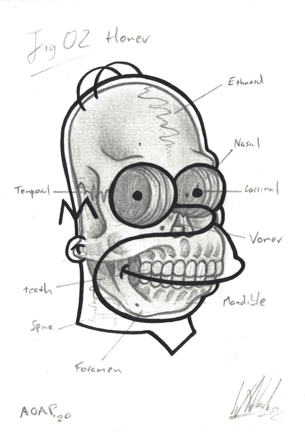 Will Blood, Fig 02 Homer, 2020