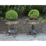 A pair of black painted cast iron planters in late 18th Century style