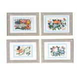 A set of twelve Chinese floral paintings on pith paper