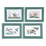 A set of twelve Chinese ornithological paintings on pith paper