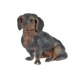 A German or Austrian cold painted terracotta model of a seated dachshund