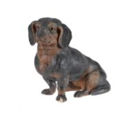 A German or Austrian cold painted terracotta model of a seated dachshund