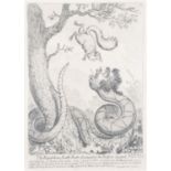 After James Gillray- five 19th century engraved prints; The Republican Rattle-Snake fascinating the