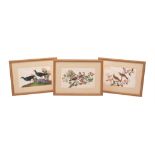 A set of twelve Chinese gouache paintings, circa 1850