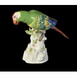 A Meissen model of a parakeet