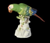 A Meissen model of a parakeet