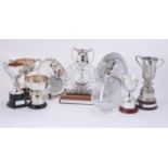 A collection of electro-plated trophies from Donnington Valley Golf Club