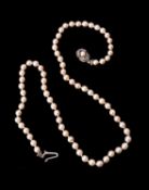 A cultured pearl necklace