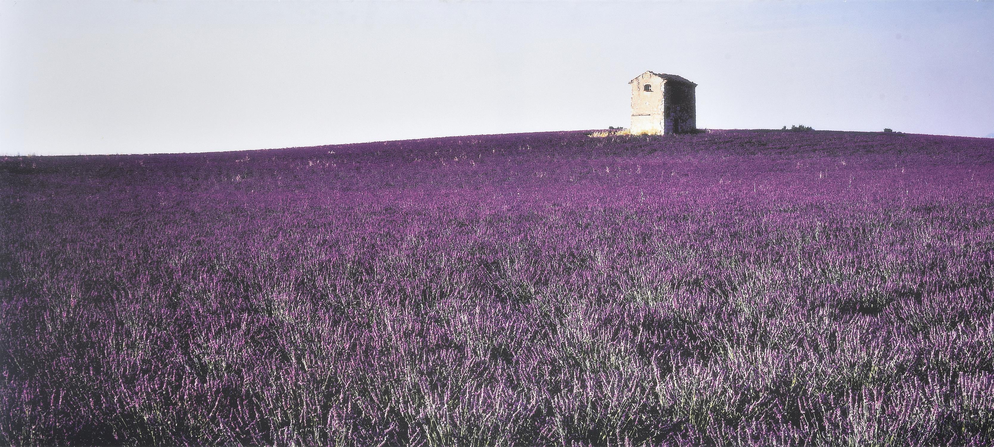 λ Marcus Lyon (British b.1965), Maison de Vignes, Provence 1996