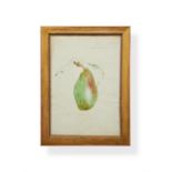 James Sowerby, (British 1757-1822), Study of a pear