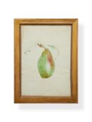 James Sowerby, (British 1757-1822), Study of a pear