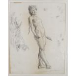 Fairlie Harmar (1876-1945), Female Nude