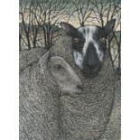 Seren Bell, Ewe & Lamb, 2020