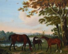 John Hardman (British 18th / 19th century), Horses in a landscape