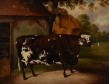 British School (19th century), Portrait of a bull