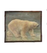 C.E. Swan (British c. 1894), A Polar Bear