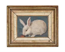 English School (early 20th century), A white rabbit