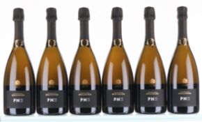 Bollinger PN VZ15