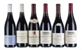 Fine Red Burgundy - 2008/2011