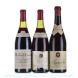 Mixed Case - Burgundy & Barolo