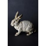 A fine Austrian cold painted bronze model of a rabbit attributed to Franz Xavier Bergman (1861-1936)