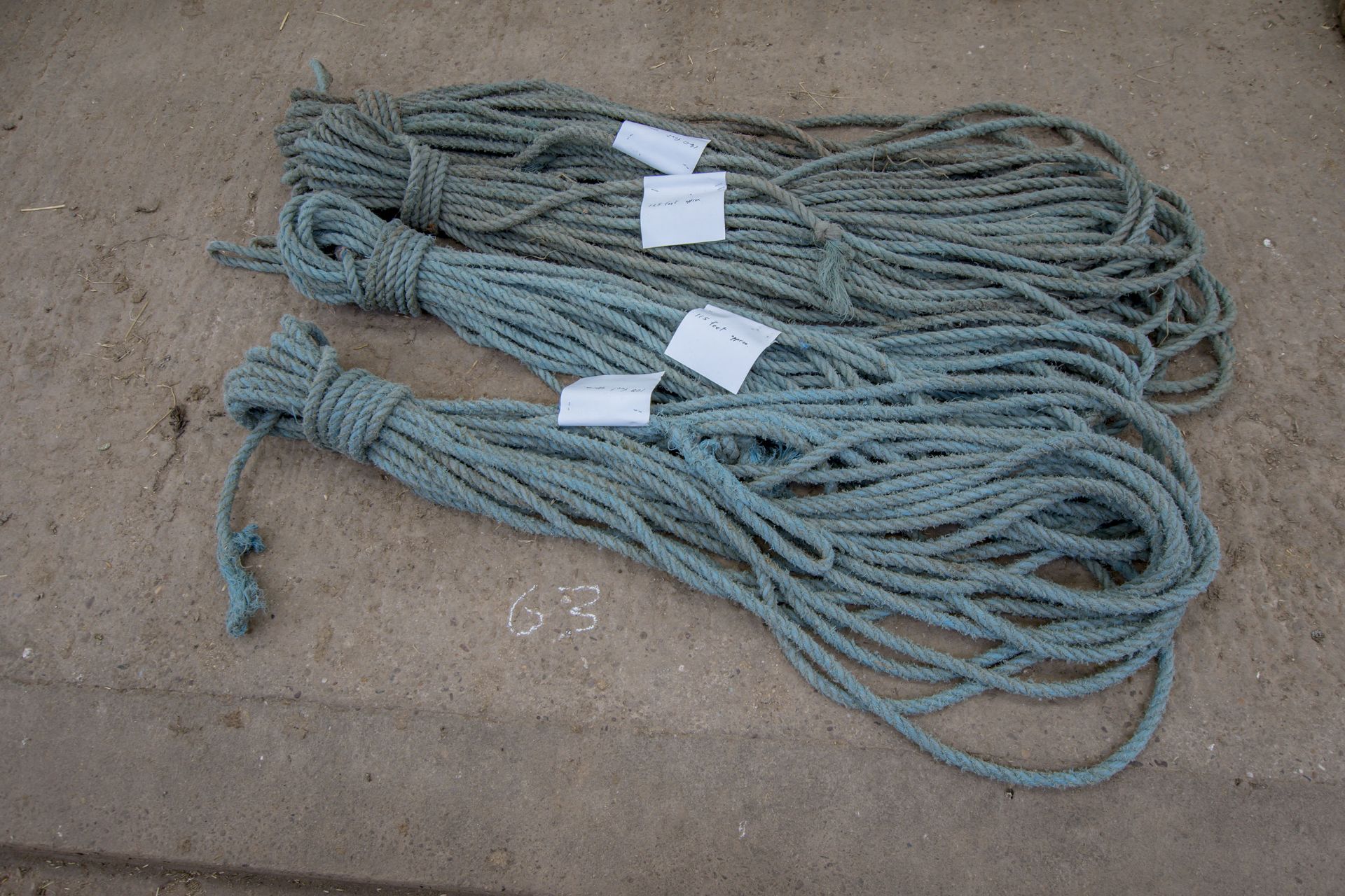 4 x polypropylene wagon ropes (blue).