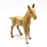 Beswick large Shire Foal in palomino gloss No.