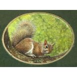 Tracy Hall (British contemporary): Miniature oval watercolour of a squirrel on a branch,